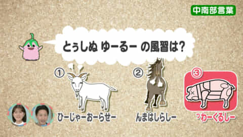 めーにちしまくとぅばSeason5#47