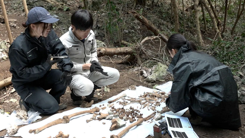 戦没者遺骨収集と戦後日本 戦没者遺骨収集と戦後日本 - 株式会社 吉川弘文館 歴史学を中心
