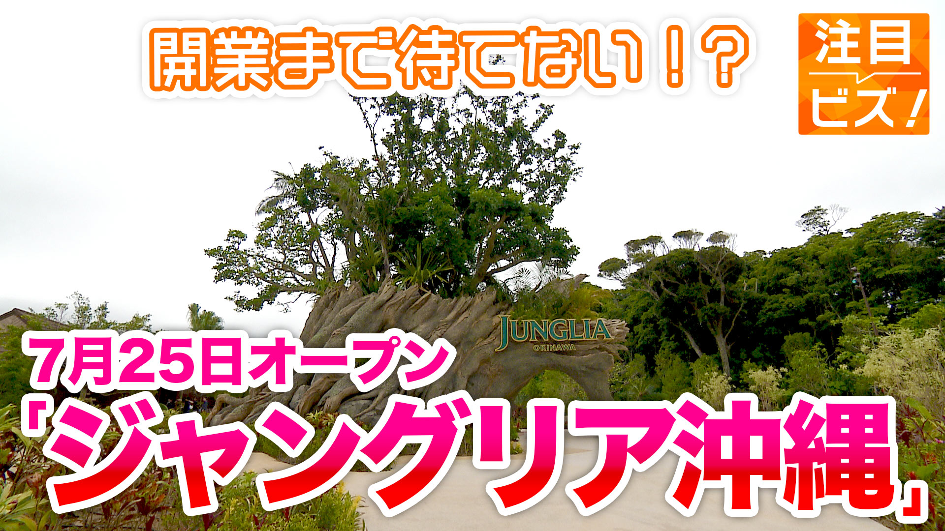 しまくとぅばで語る戦世2025#86「『壕から出ていけ』と言われて」