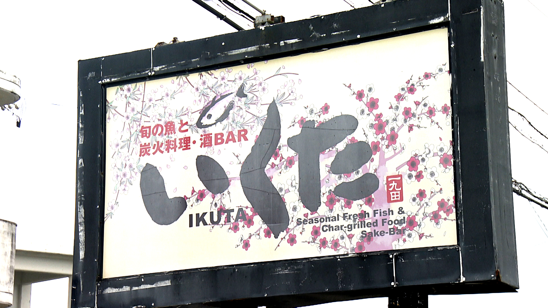 旬の魚と炭火料理・酒BARいくた　ON Air No.998 / 999
