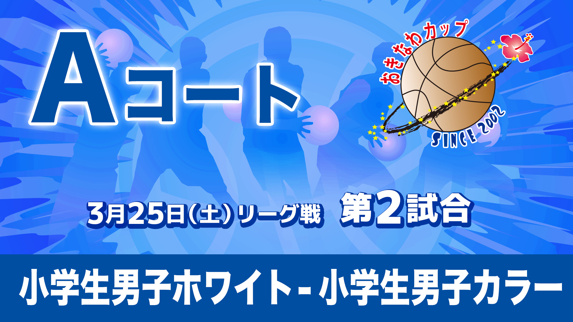 市内小学生男子ホワイト - 市内小学生男子カラー