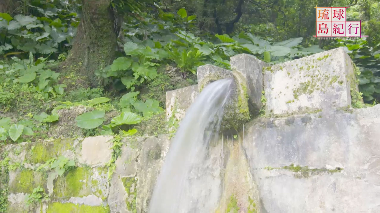 水辺の風景(1) 垣花樋川