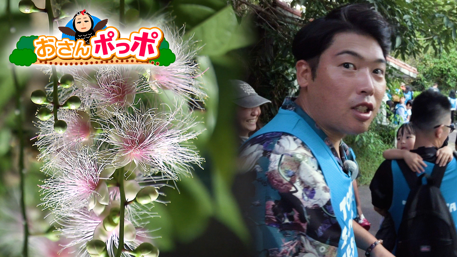 #03 末吉公園に咲く一夜限りの幻の花“サガリバナ”を見る！【那覇市】