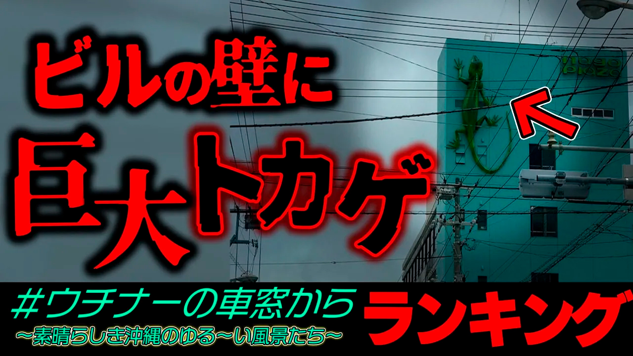 #50【衝撃】沖縄のビルの壁に貼りつく巨大生物を激写...