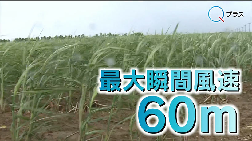 先島に接近の台風６号　各地で影響