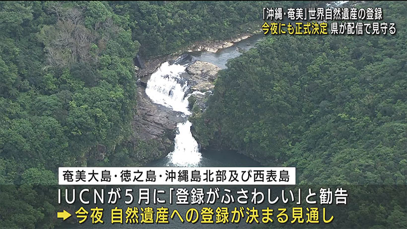 「沖縄・奄美」世界自然遺産登録　今夜正式決定へ