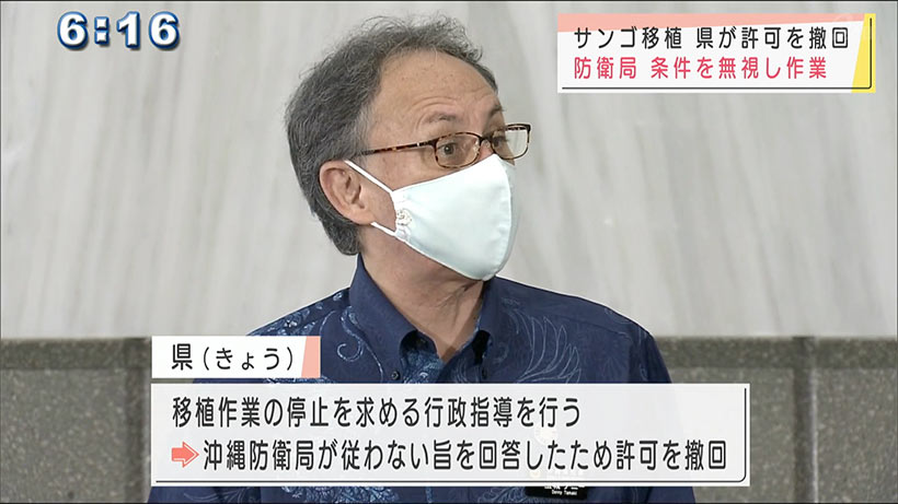 辺野古サンゴ移植開始に知事「許可を撤回」