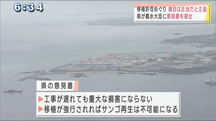 サンゴ移植許可の撤回　県が意見書で正当性を主張