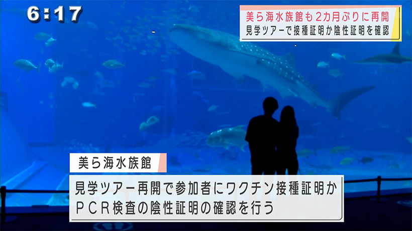 宣言解除で博物館や美ら海水族館が再開