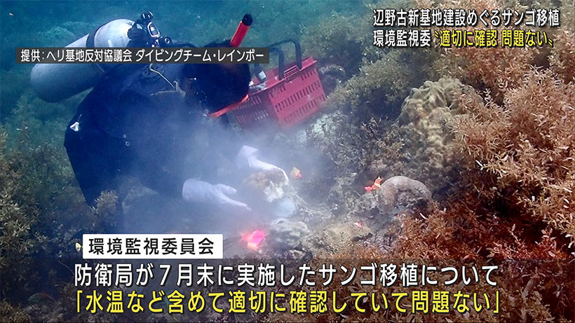 辺野古のサンゴ移植　環境監視委「問題ない」