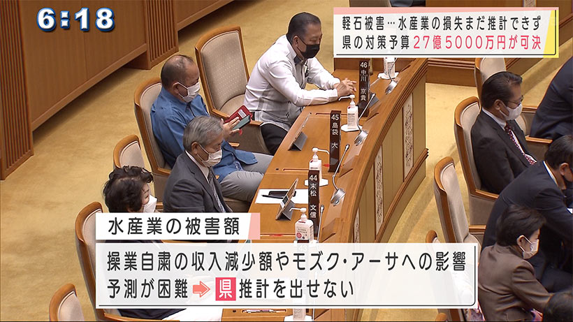 沖縄県議会で議論　軽石による水産業への被害額はまだ見込めず