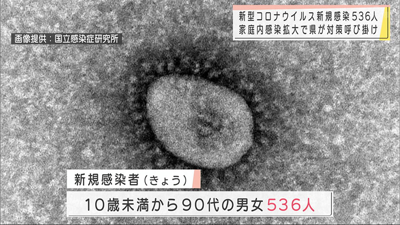 きょうのコロナ感染５３６人