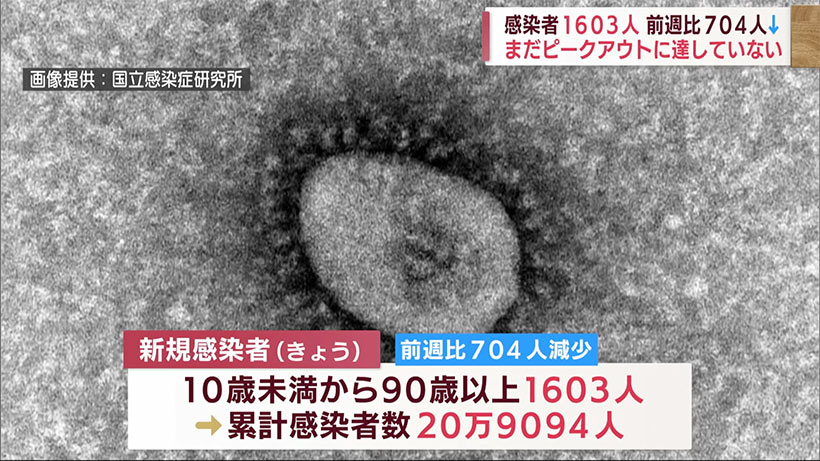 沖縄　新型コロナ新たに１６０３人感染　「まだピークアウトしてない」