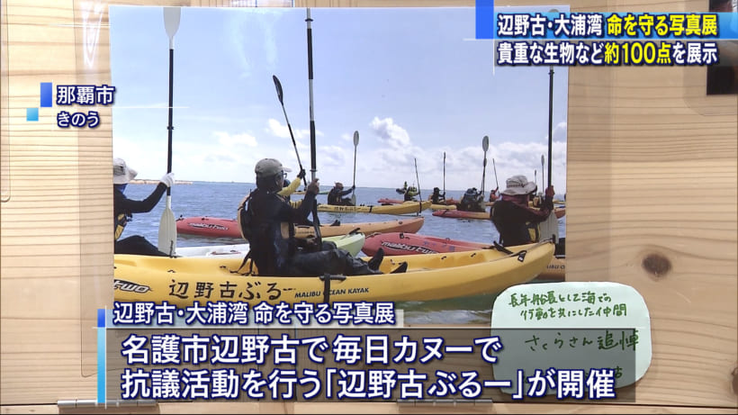 辺野古・大浦湾　命を守る写真展