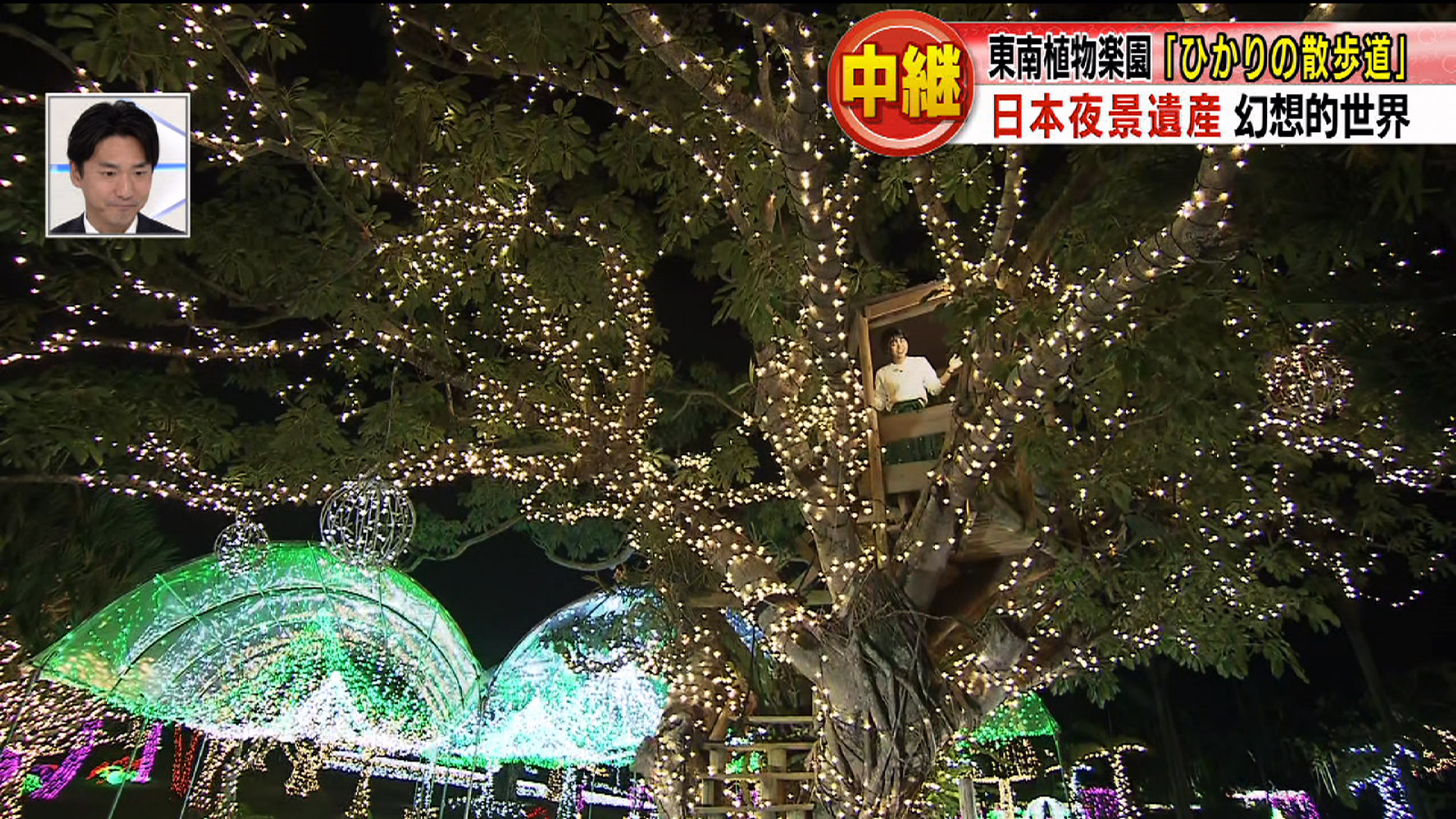 中継 日本夜景遺産 東南植物楽園「ひかりの散歩道」