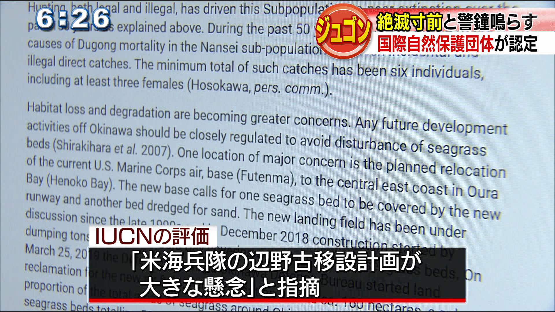 世界的な自然保護団体が沖縄に生息するジュゴンについて絶滅の危険性が最も高いと警鐘