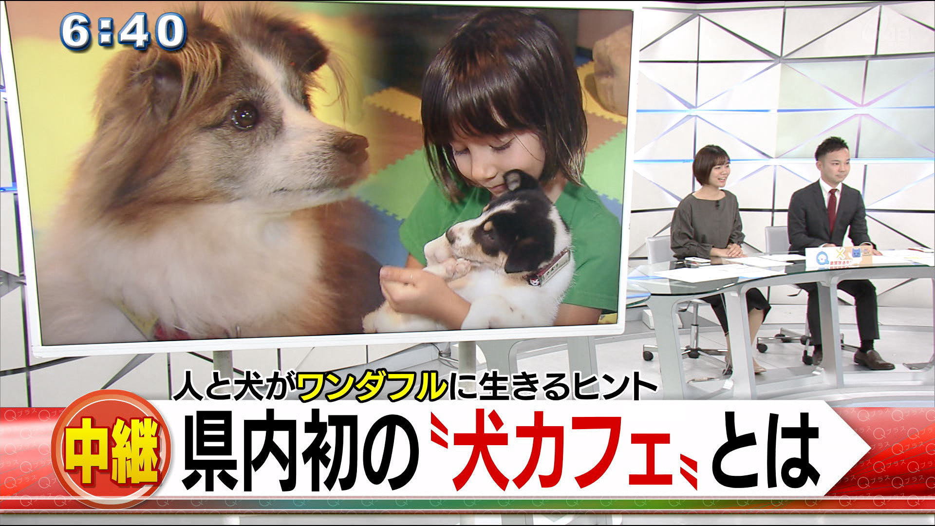 先月オープンした“犬かふぇ ワンダフル”