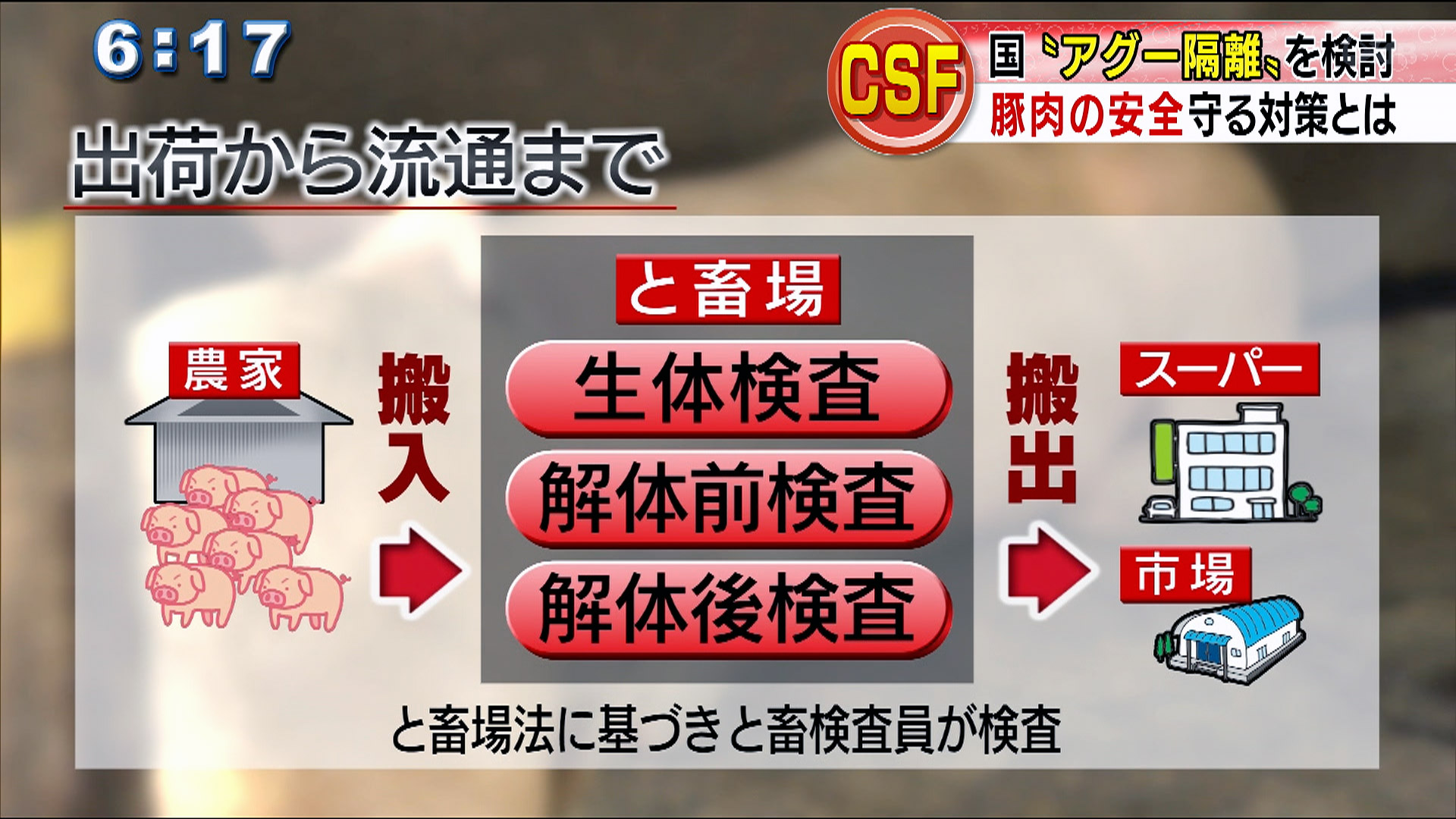 豚コレラ「アグー隔離」を検討 豚肉の安全守る対策とは