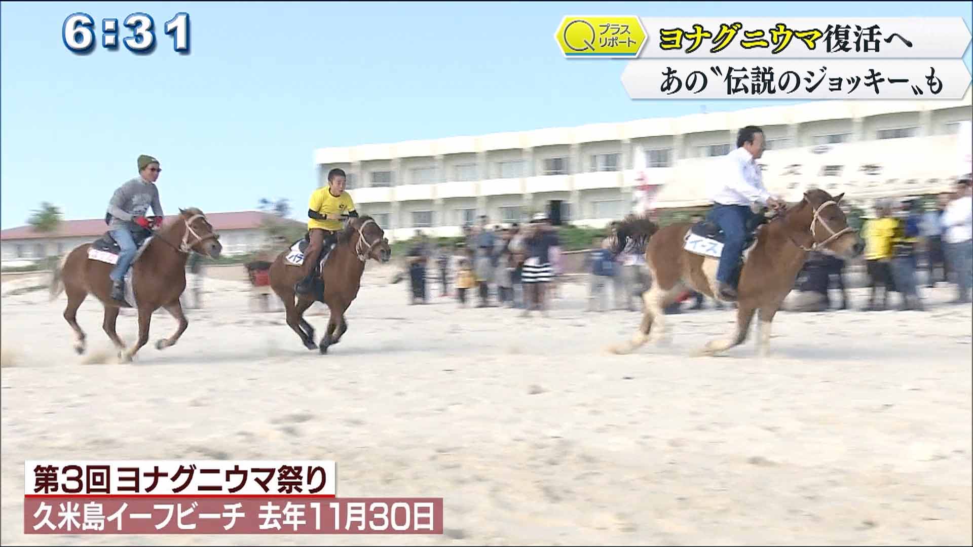 ヨナグニウマ復活で地域の活性化を