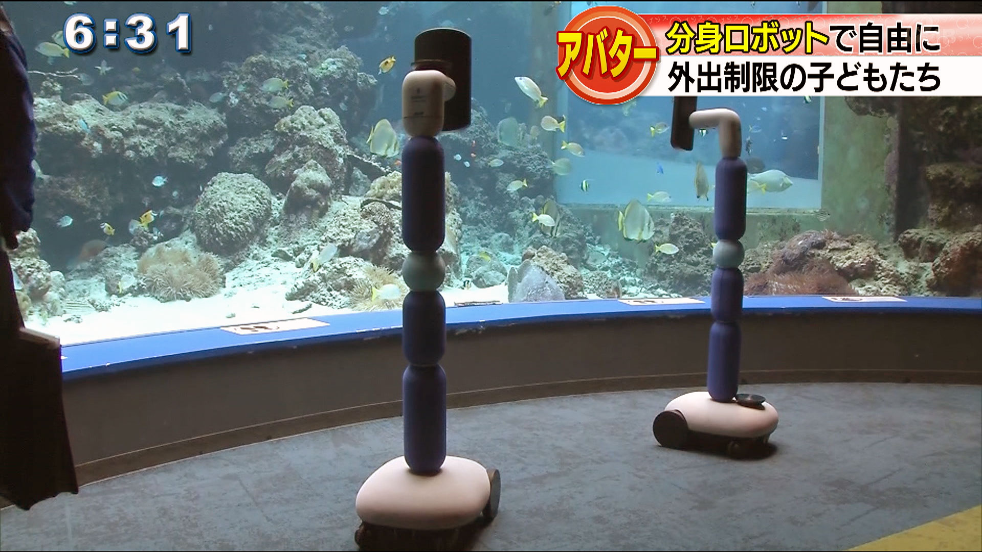 分身ロボットで水族館見学