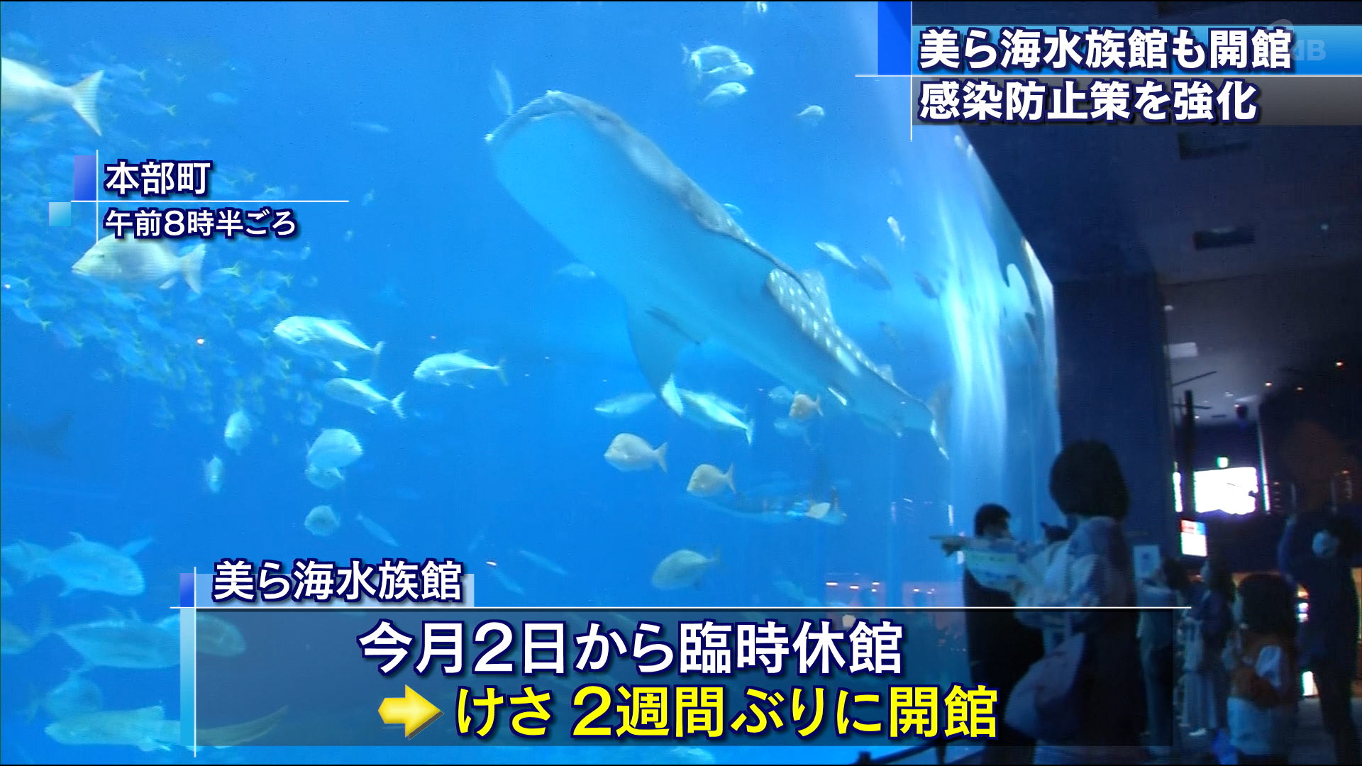 新型コロナで休館の美ら海水族館も開館 Qab News Headline