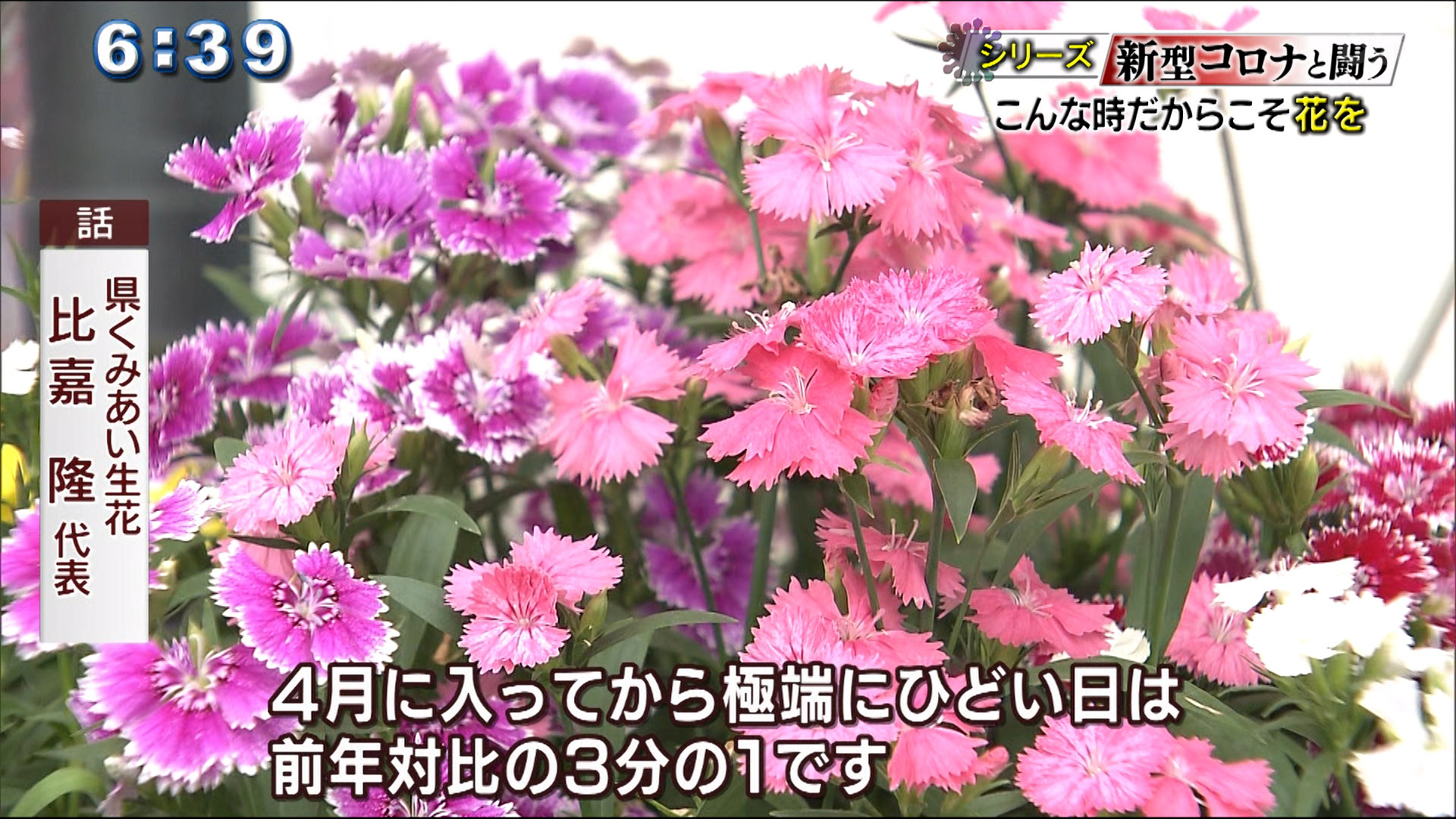 新型コロナと闘う 売り上げ減の花屋が始めた挑戦 Qab News Headline