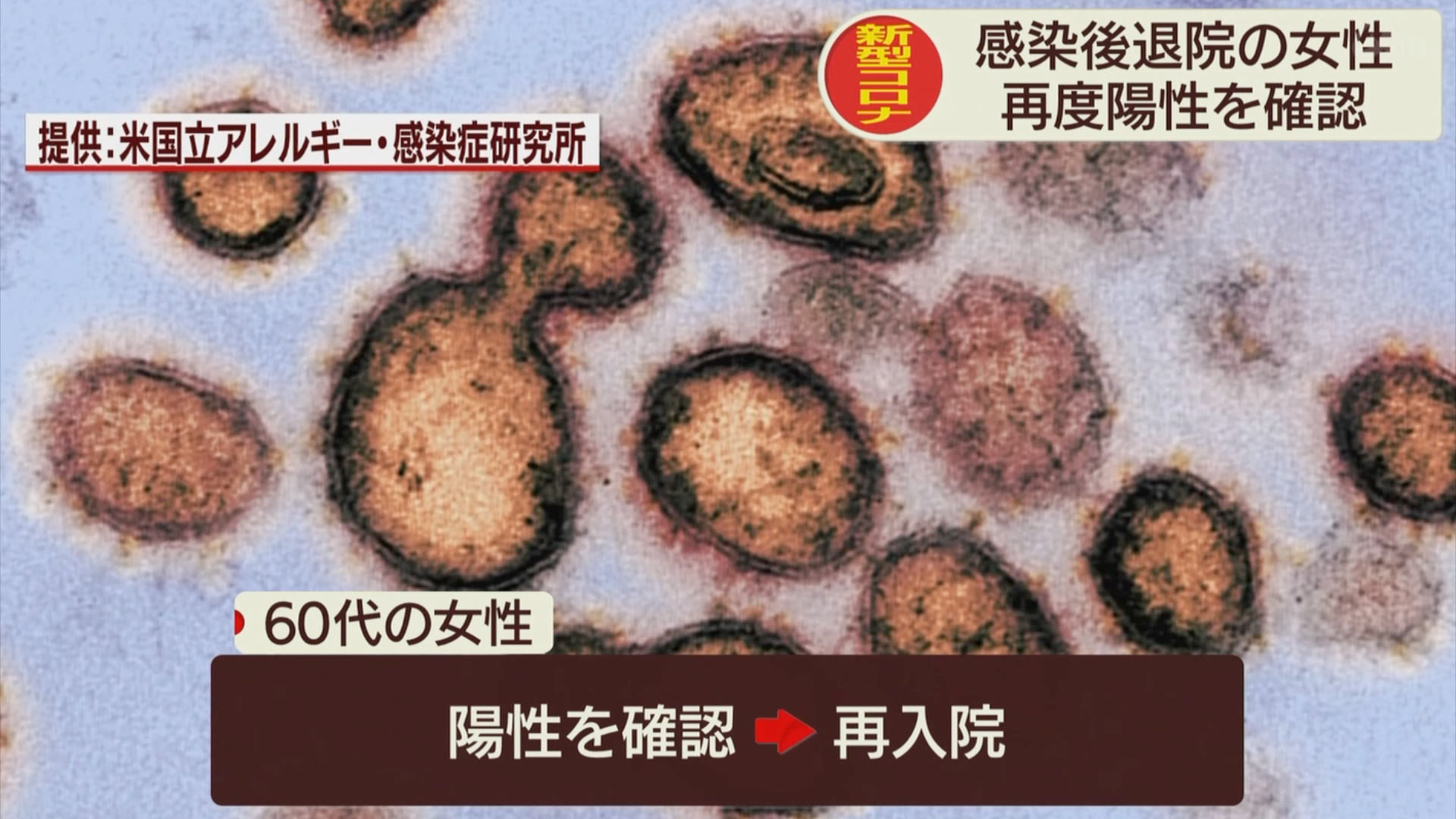 新規感染者連続ゼロ続く