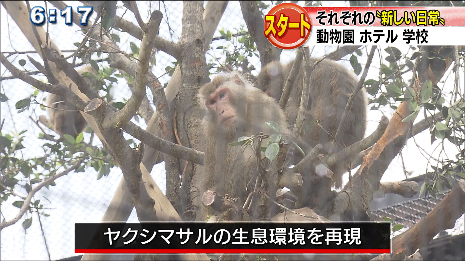 きょうから６月 新たな日常の模索