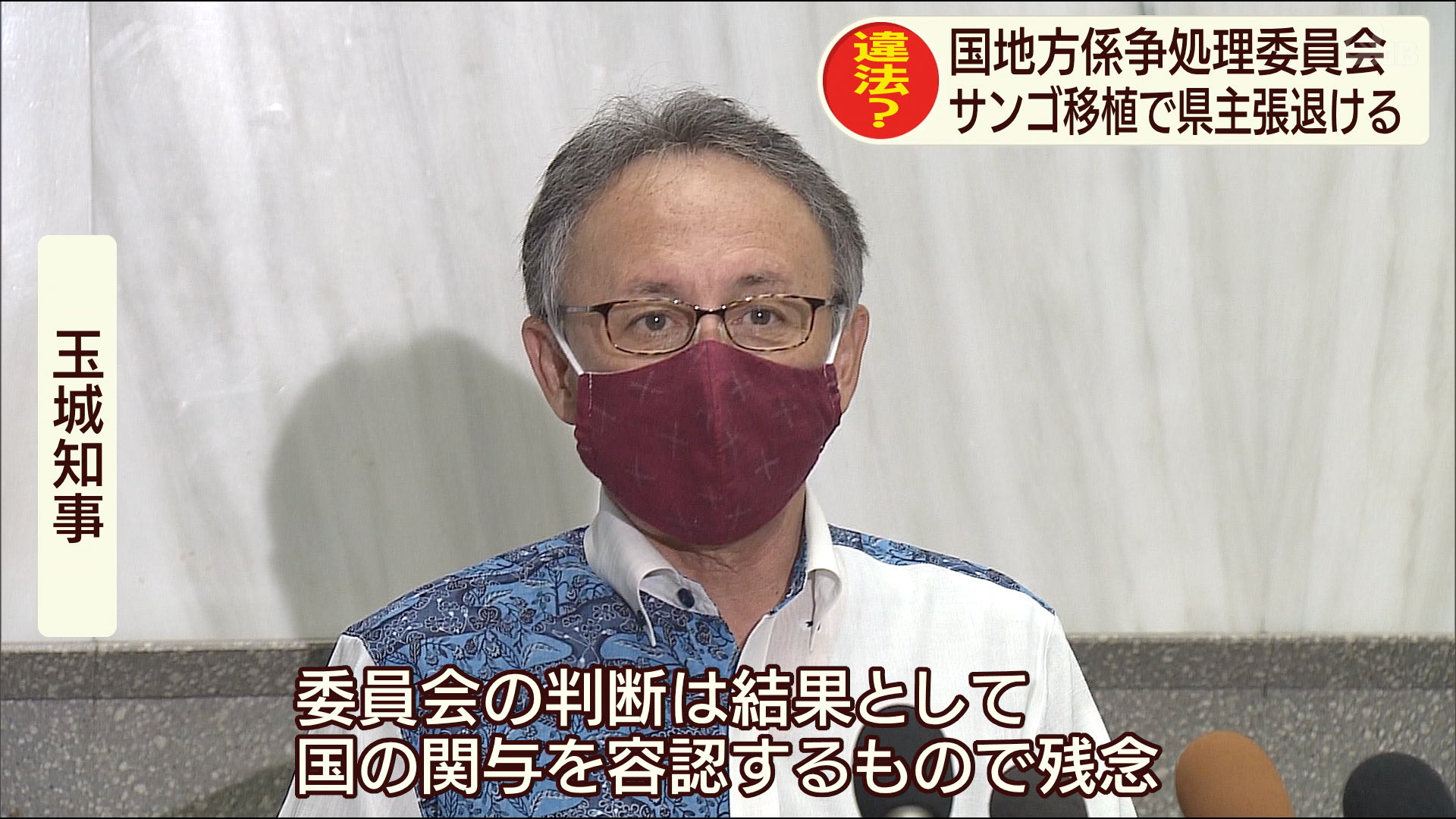 サンゴ移植問題で係争処理委が県の主張を退ける