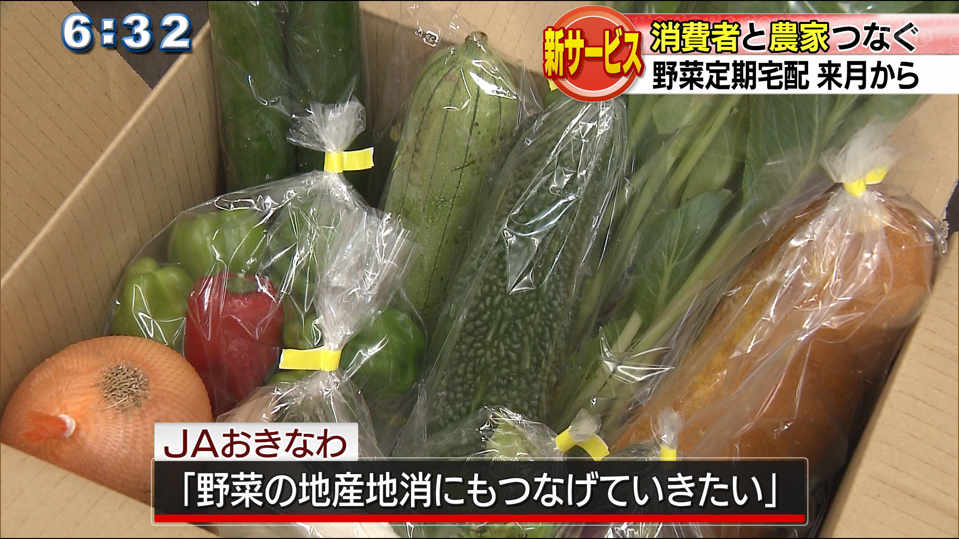 野菜定期宅配サービス来月から開始