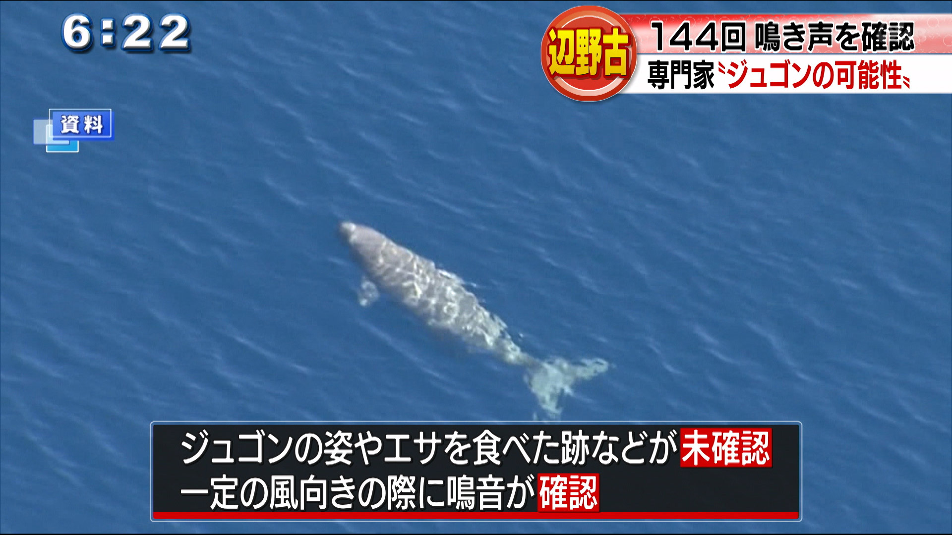 辺野古周辺海域でジュゴンの鳴き声？　１４４回確認