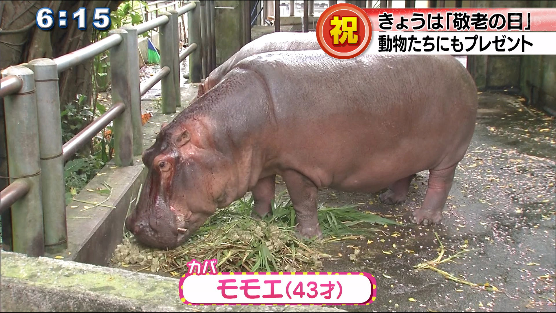 動物たちにも長寿のお祝い　こどもの国