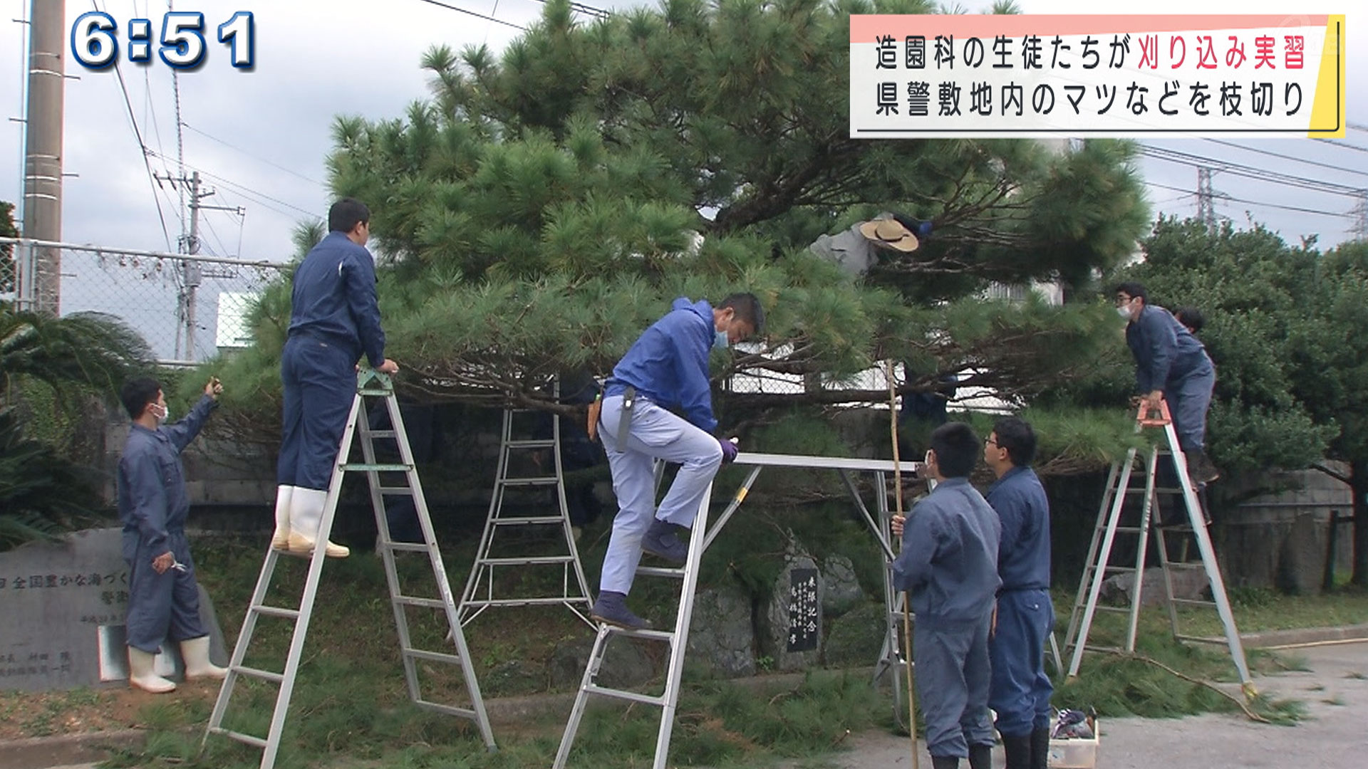 高校生が機動隊敷地内の植栽を刈り込み実習