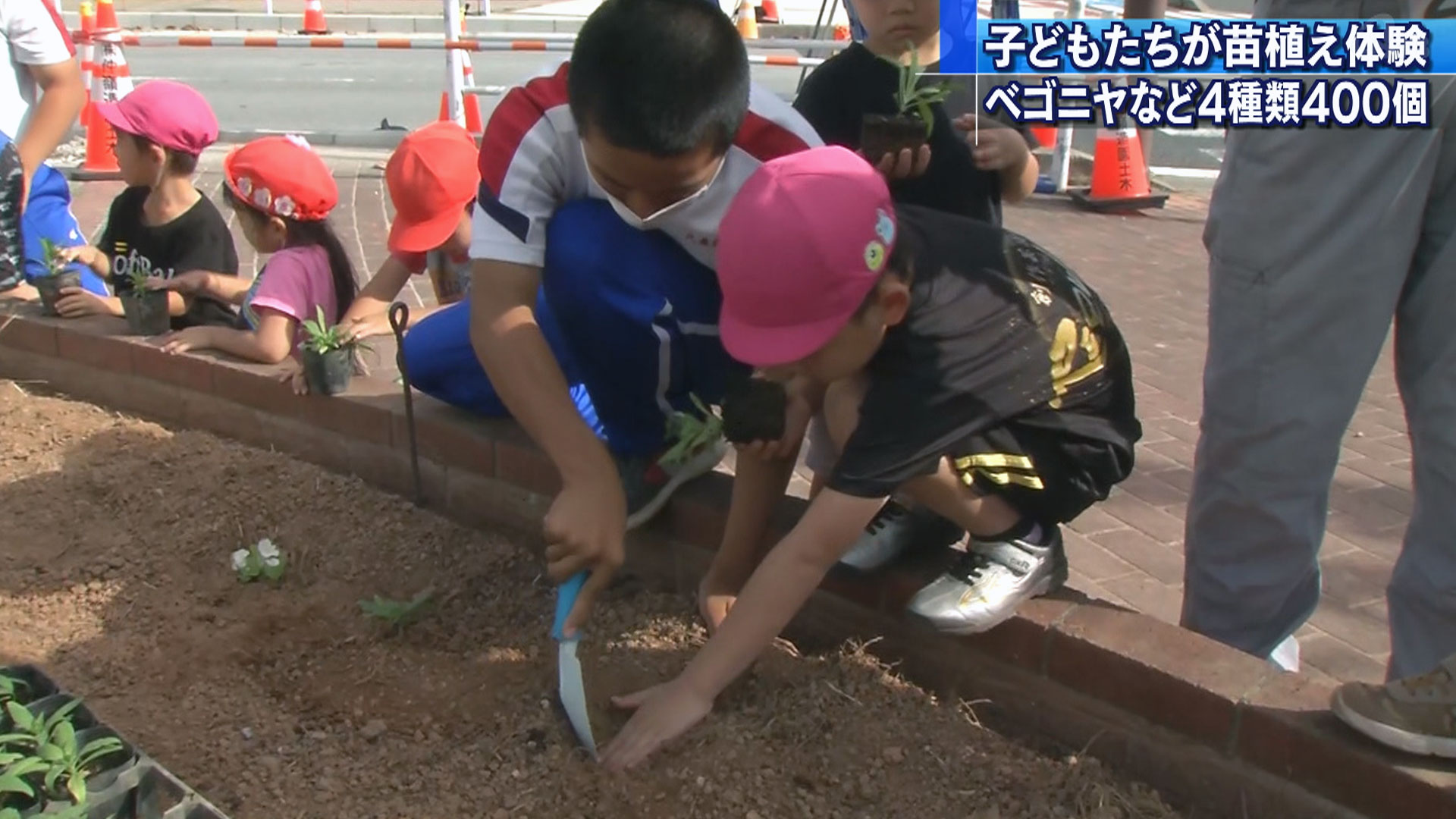 子どもたちが花の苗植え体験