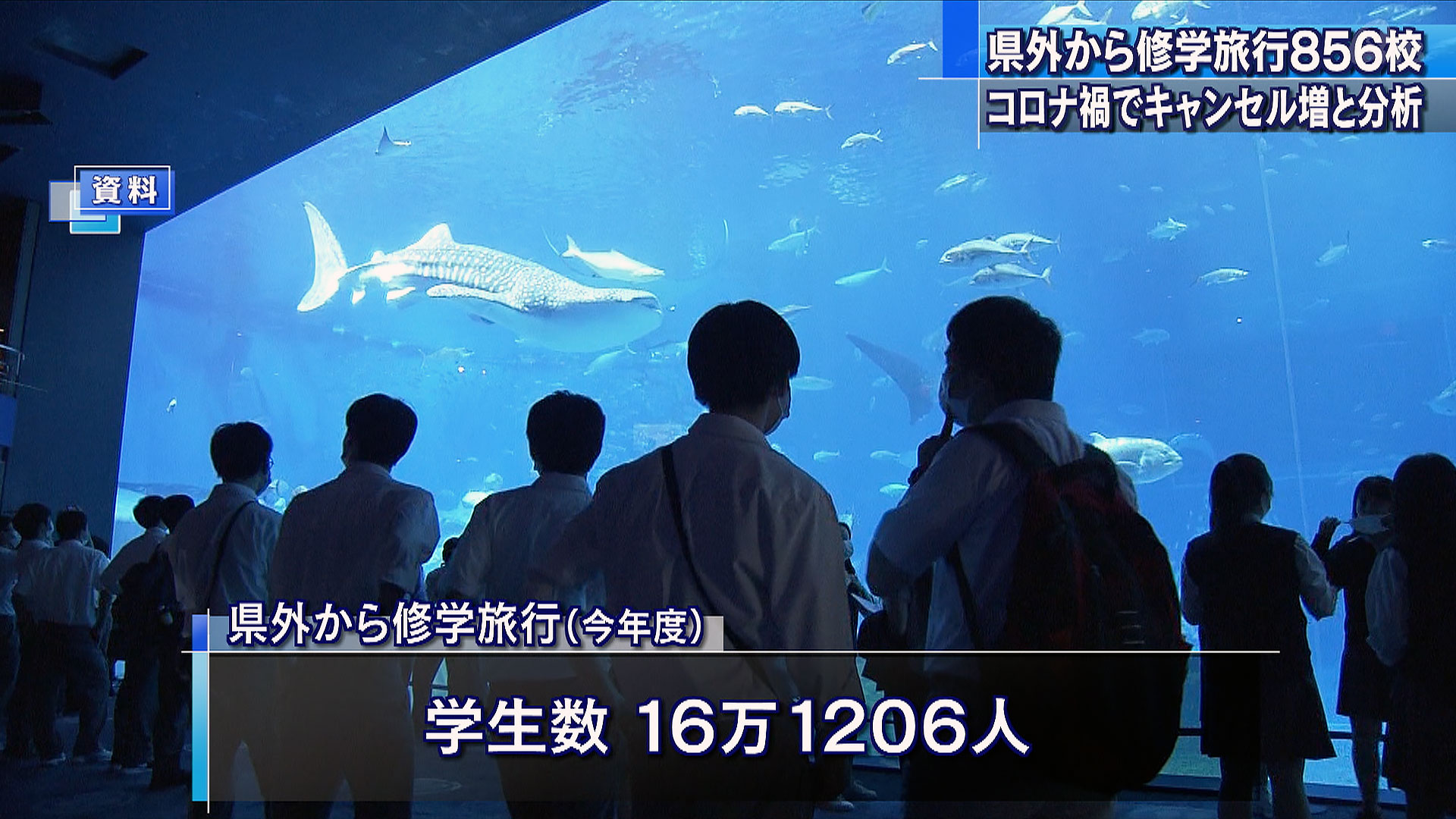 20年度 修学旅行で沖縄を訪れた学校は856校