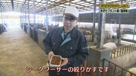 VIVA!うちなーむん めざせブランド豚「福幸豚」