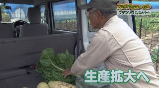 VIVA!うちなーむん 注目の伝統野菜～フダンソウ～