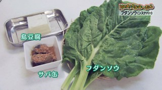VIVA!うちなーむん 注目の伝統野菜～フダンソウ～