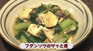 VIVA!うちなーむん 注目の伝統野菜～フダンソウ～