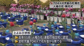 豊見城市とよみ小学校 人権の花開花式 Qab News Headline