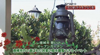 Ｑ＋リポート｢花と緑｣が人をつなぐ街