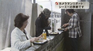 カメラマンリポート　シーミーの季節です