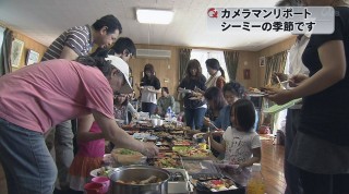 カメラマンリポート　シーミーの季節です