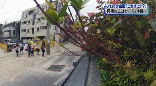 九州沖縄山口ブロック企画「これすご！？」究極のエコカー！