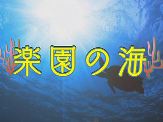 楽園の海