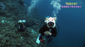 楽園の海 新年恒例 お正月の初潜り2015