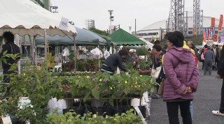 花と食のフェスティバル