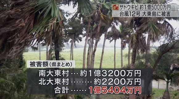 台風12号の被害は１億5000万円