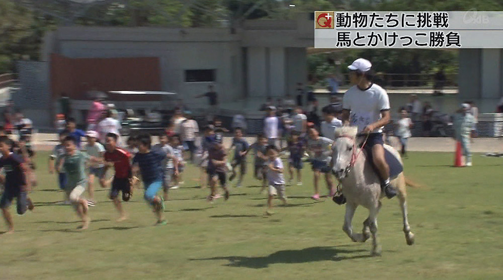 動物たちに挑戦 大運動会！