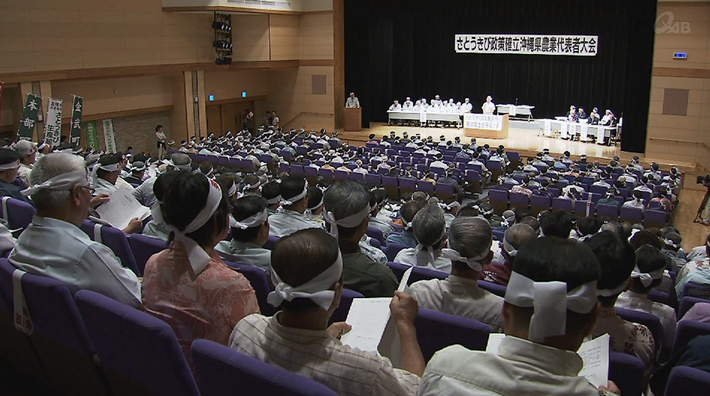 さとうきび農家がTPPで大会